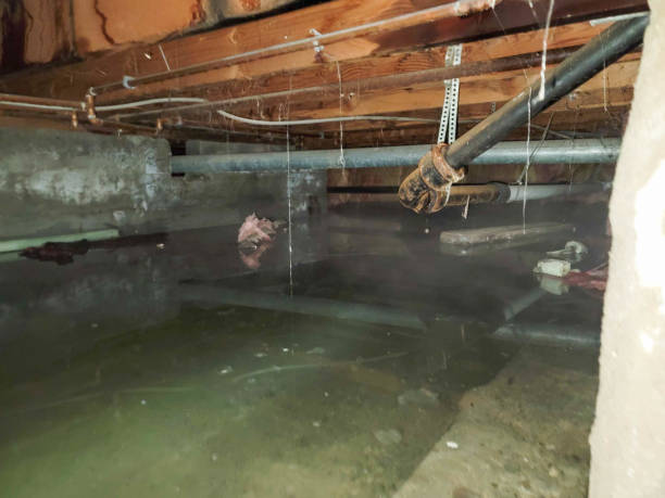 Best Sewage cleanup and water damage restoration  in Perryton, TX