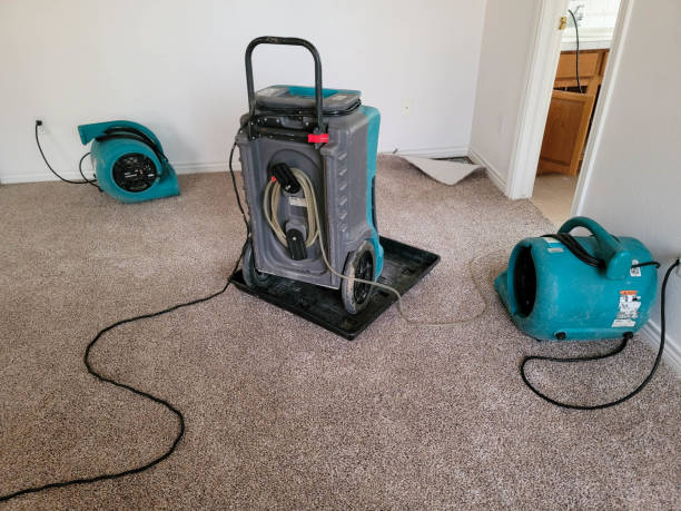 Best Local water damage restoration  in Perryton, TX