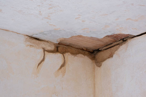 Best Basement water damage restoration  in Perryton, TX