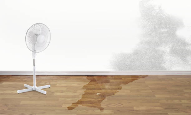 Best Emergency water damage restoration  in Perryton, TX