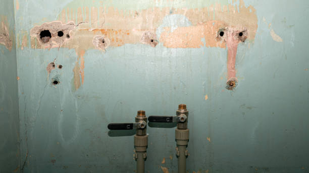 Best Water damage restoration near me  in Perryton, TX