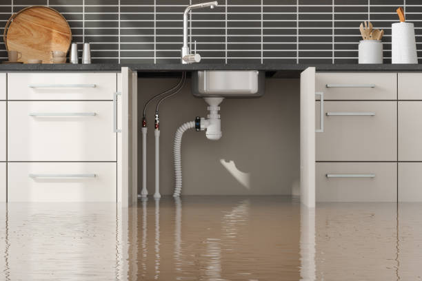 Best Mold removal after water damage  in Perryton, TX
