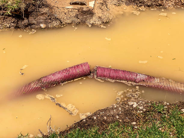 Best Water damage restoration near me  in Perryton, TX
